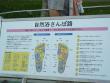 Okinawa2008-58.jpg